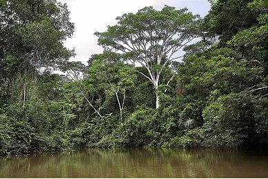 EA CEO回应被收购传闻：如果有意义会支持